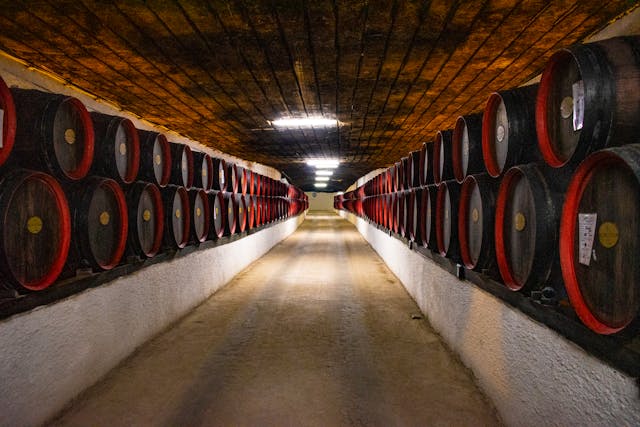 rangée de fûts de chêne dans une cave souterraine